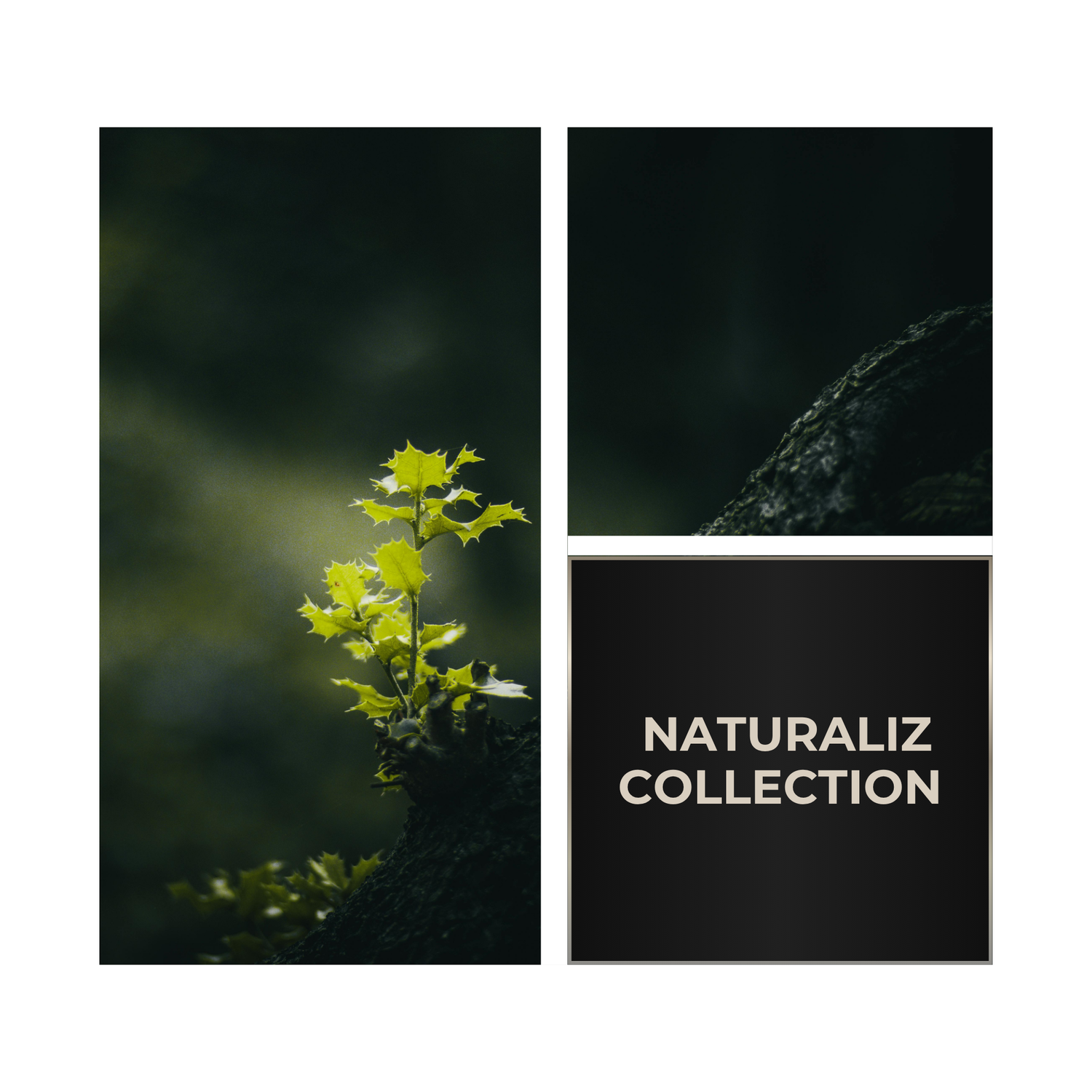 NATURALIZ